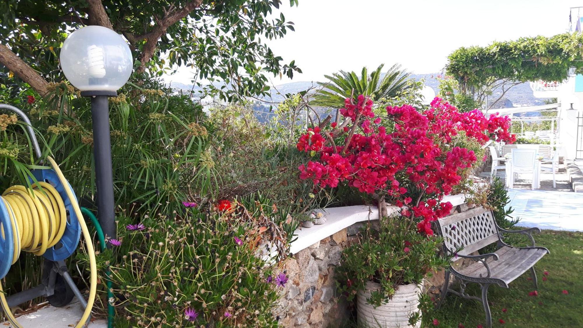 Casa Acqua Marina Ponza Apartment Екстериор снимка